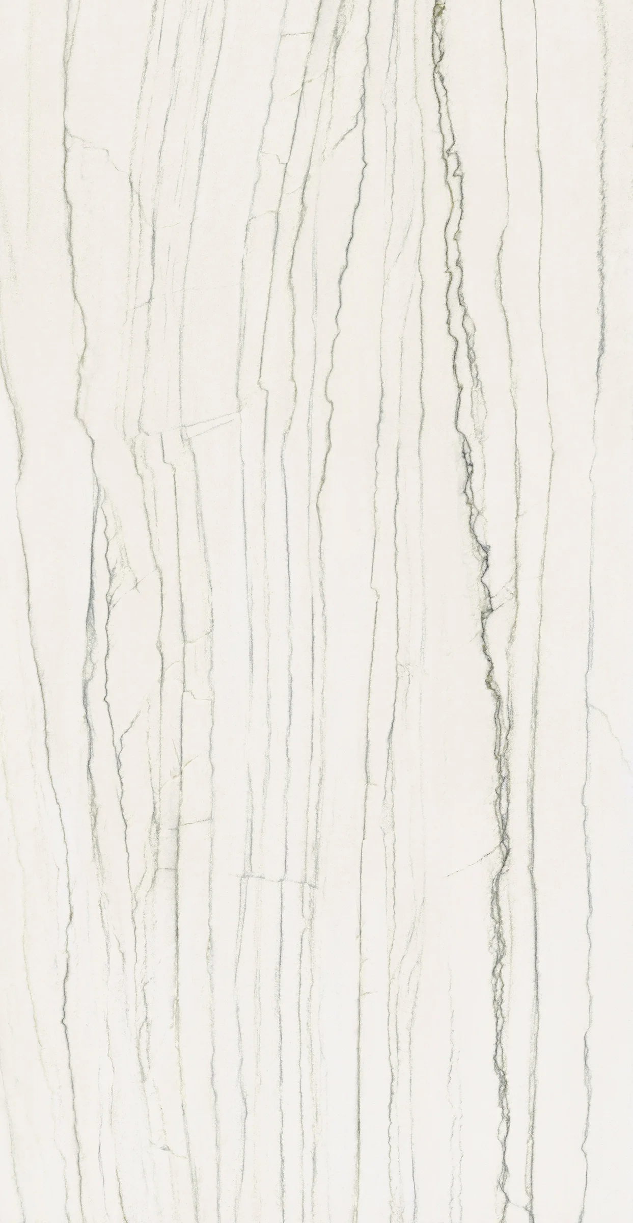 Ava ceramica Marmi White Macauba 120X240 cm